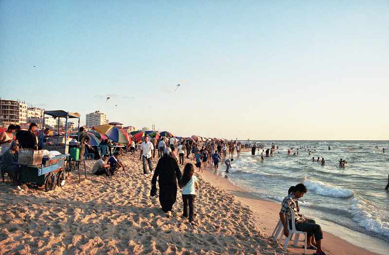 Featured image for “Gaza Terror and Tragedy”