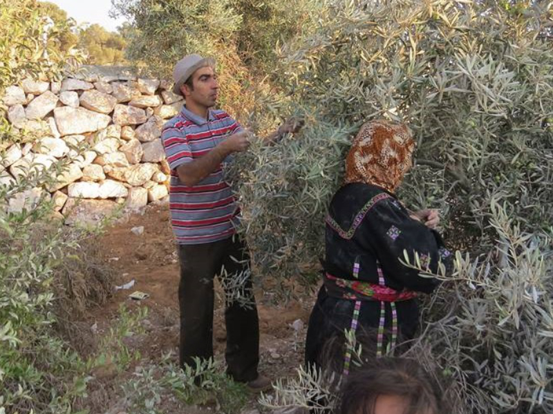 Featured image for “The West Bank Boils”